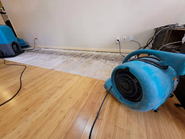 Professional Structural Drying technician working in Jarrell, TX